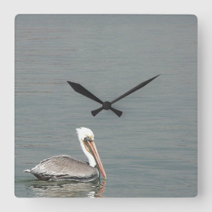 Pelican Birds Wildlife Animals Beach Ocean Square Wall Clock