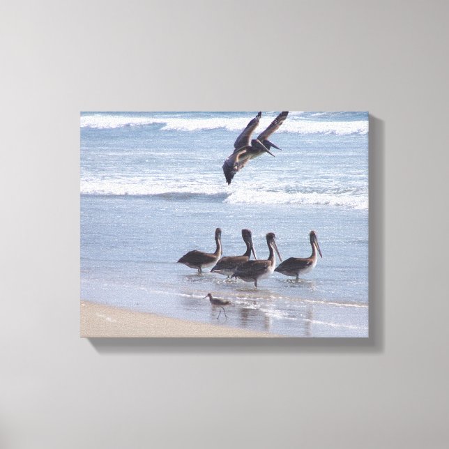 Pelican Birds Wildlife Animals Ocean Canvas Print (Front)