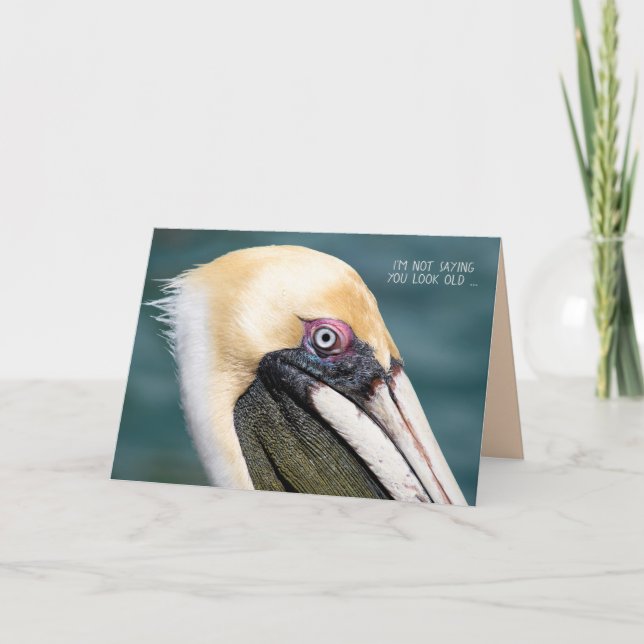 Pelican birthday humor card (Front)