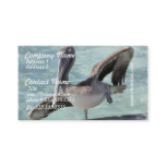 Pelican Business Cards