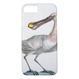 Pelican, c.1767-76 (hand coloured engraving) iPhone 8/7 case