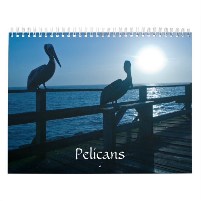 Pelican Calendar (Cover)