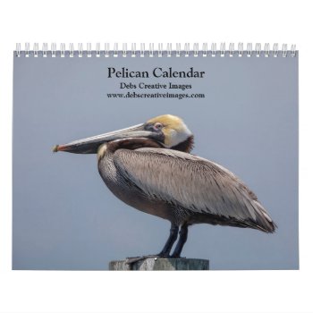 Pelican Calendar 2024 by debscreative at Zazzle