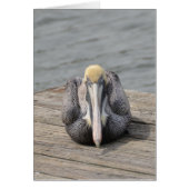 Pelican Card (Front)