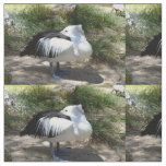 Pelican Cat Naps, Fabric