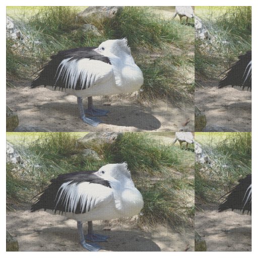 Pelican Cat Naps, Fabric