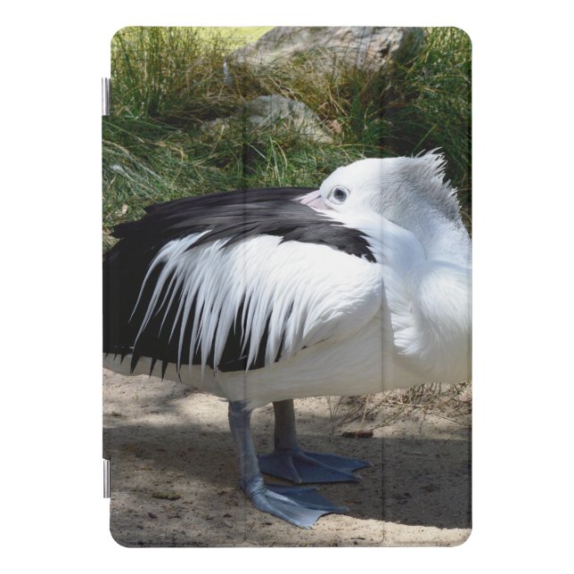 Pelican Cat Naps, iPad Case (Front)