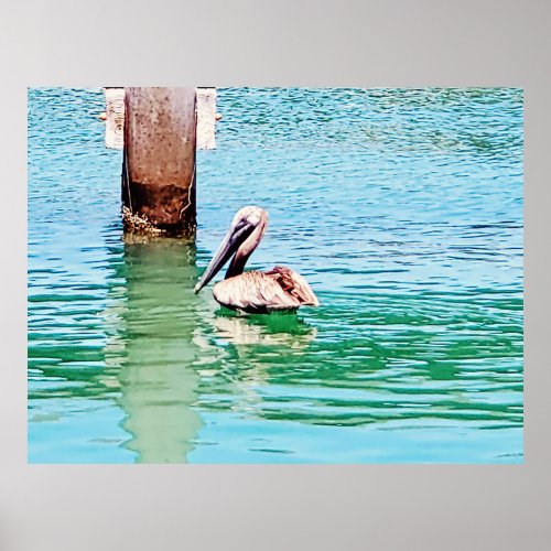 Pelican Chilling In The Florida Keys Ocean Poster