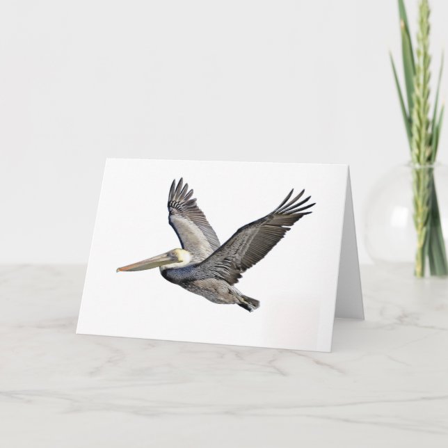 Pelican Clear Card (Front)