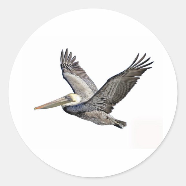 Pelican Clear Classic Round Sticker (Front)