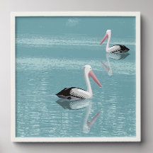 Pelican Couple Paddling on Calm Aqua Water