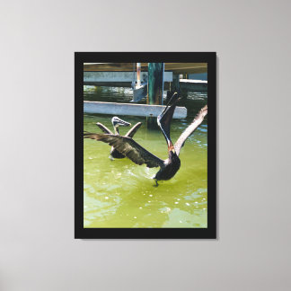 Pelican Dance Canvas Print