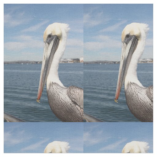 Pelican Fabric