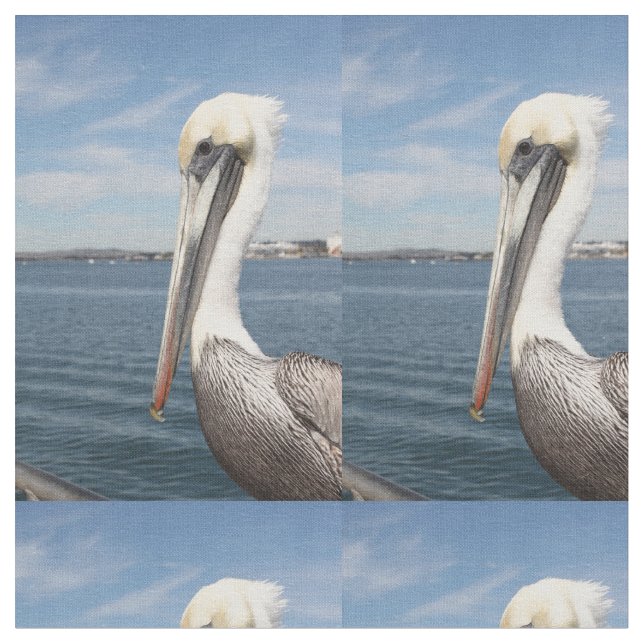 Pelican Fabric (Close Up)