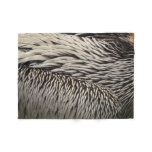 Pelican Feathers Abstract Nature Photography Fleece Blanket