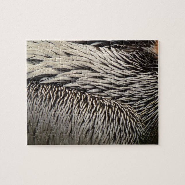 Pelican Feathers Abstract Nature Photography Jigsaw Puzzle (Horizontal)