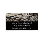 Pelican Feathers Abstract Nature Photography Label