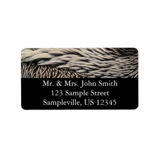 Pelican Feathers Abstract Nature Photography Label