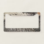 Pelican Feathers Abstract Nature Photography License Plate Frame