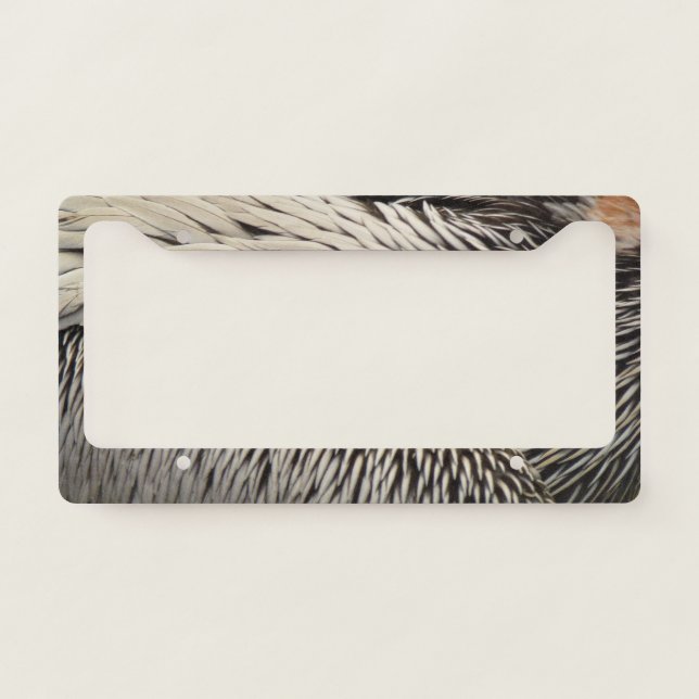 Pelican Feathers Abstract Nature Photography License Plate Frame (Front)
