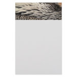 Pelican Feathers Abstract Nature Photography Stationery
