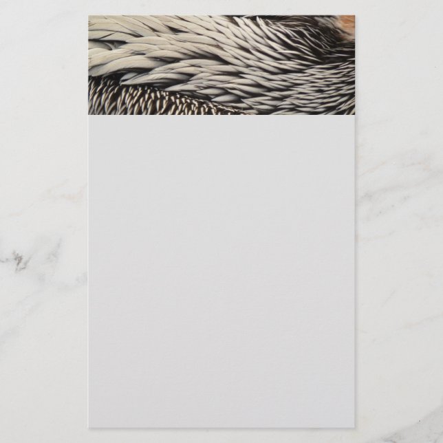 Pelican Feathers Abstract Nature Photography Stationery (Front)