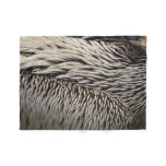 Pelican Feathers Nature Photography Fleece Blanket