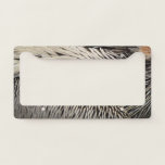 Pelican Feathers Nature Photography License Plate Frame