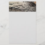 Pelican Feathers Nature Photography Stationery