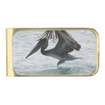 Pelican Flight Gold Finish Money Clip
