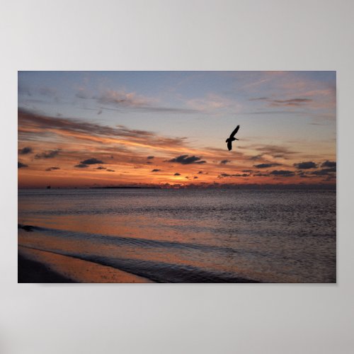 Pelican Flying at Sunrise Dauphin Island Alabama Poster