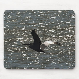 Pelican Flying Over Shimmering Lake Bafa Mouse Pad