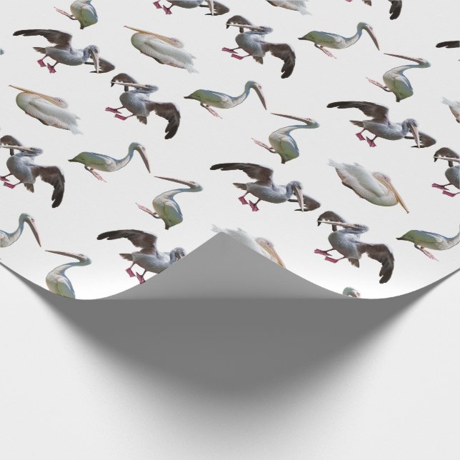 Pelican Frenzy Wrapping Paper (Corner)