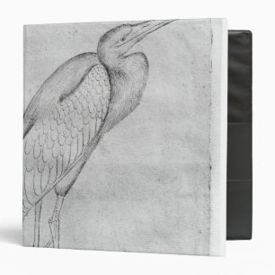 Pelican, from the The Vallardi Album 3 Ring Binder