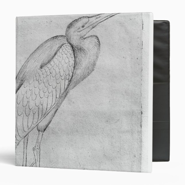 Pelican, from the The Vallardi Album 3 Ring Binder (Front/Inside)
