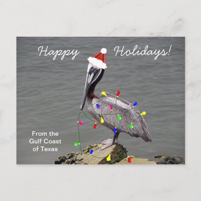 Pelican getting ready for Christmas Holiday Postcard (Front)
