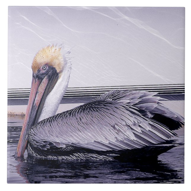 Pelican Gliding Ceramic Tile (Front)