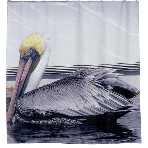 Pelican Gliding Shower Curtain