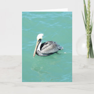 Pelican. Greeting Card