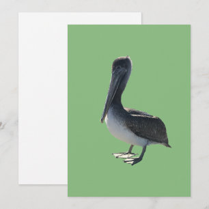 Pelican Holiday Card