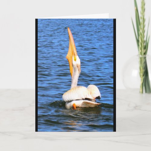 PeliCan I Wish You Merry Christmas Holiday Card