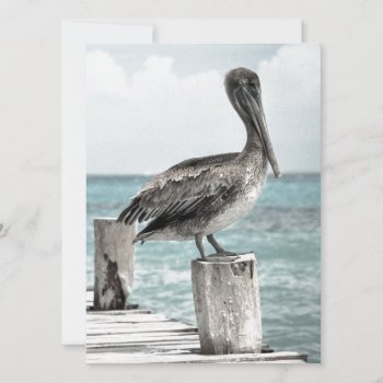 Pelican In Brief! (a Bird Design) ~ by TheWhippingPost at Zazzle
