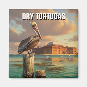 Pelican in Dry Tortugas National Park Magnet