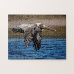 Pelican in flight jigsaw puzzle