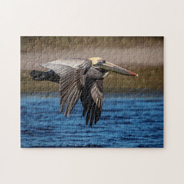 Pelican in flight jigsaw puzzle (Horizontal)