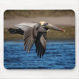 Pelican in flight mouse pad