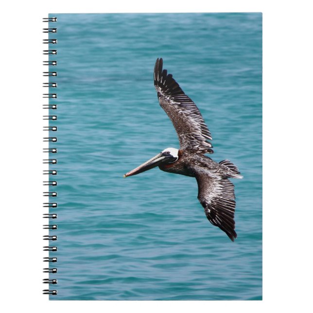 Pelican in flight notebook (Front)