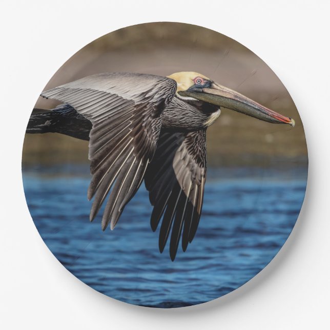 Pelican in flight paper plates (Front)