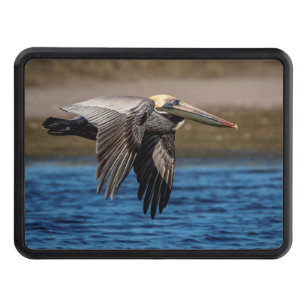 Pelican in flight tow hitch cover