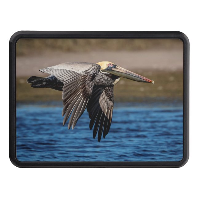 Pelican in flight tow hitch cover (Front)